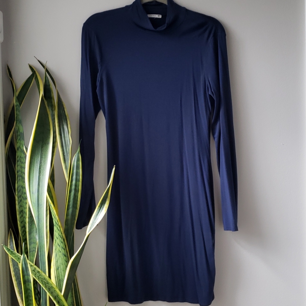 Turtleneck Long Sleeve Blue Dress